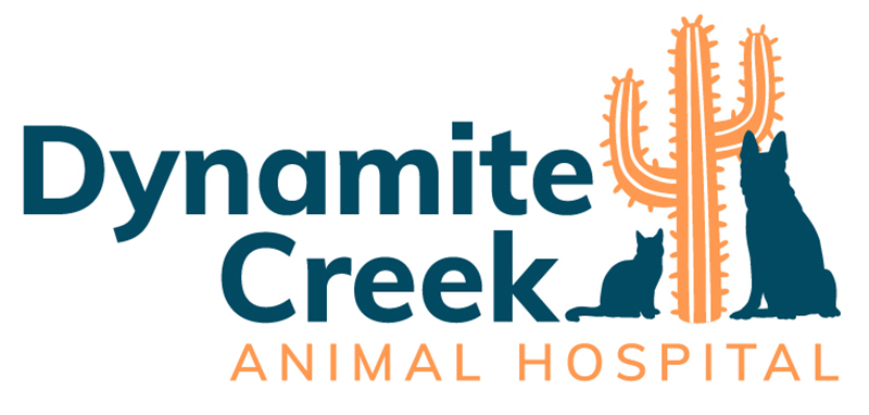 Dynamite Creek Animal Hospital logo