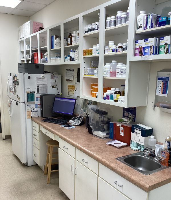 Veterinarian office with computer and medication