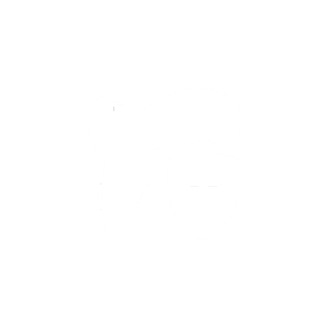 Pet Dental Cleaning icon