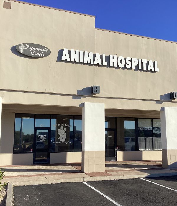 Dynamite Creek Animal Hospital Front Entrance